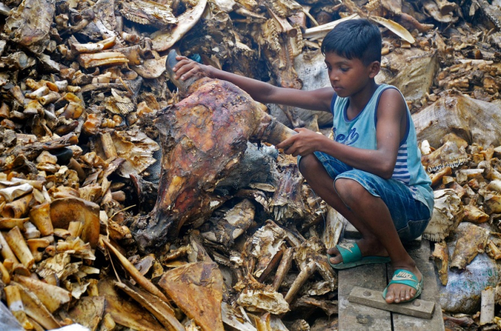 Playing with the bones