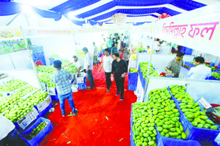 National Fruit Fair attains huge popularity