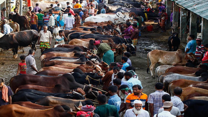 ঢাকা দক্ষিণ সিটিতে যারা পেলেন ১১ পশুর হাটের ইজারা