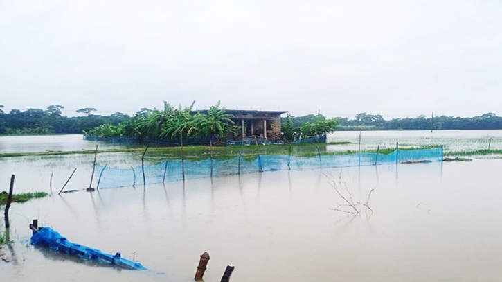 মোরেলগঞ্জে ৪০ গ্রামের মানুষ পানিবন্দি