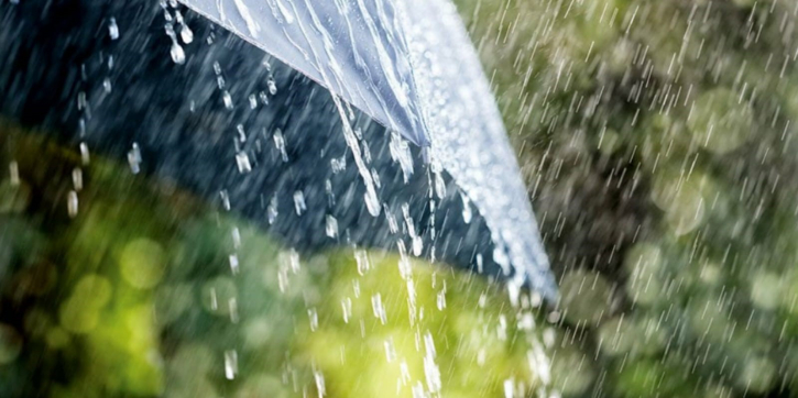 Light to moderate rain likely over country