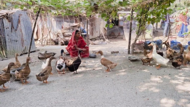 Empowered by Friendship: Over a Hundred Coastal Women Achieve Self-Sufficiency