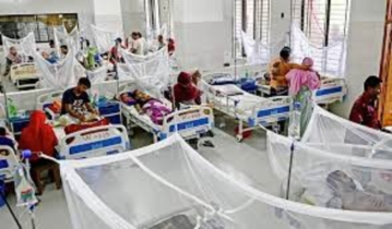 Dengue claims 11 more lives 24hrs