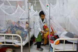 Five die, 344 hospitalised with dengue in last 24 hrs