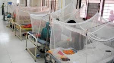 Dengue: 5 more die, 629 hospitalised in 24hrs