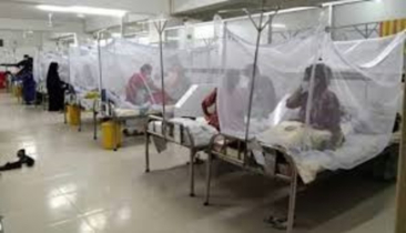 Six die of dengue, 865 hospitalized in 24hrs