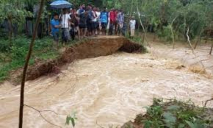 Sherpur flood causes 600C losses in agriculture, fisheries