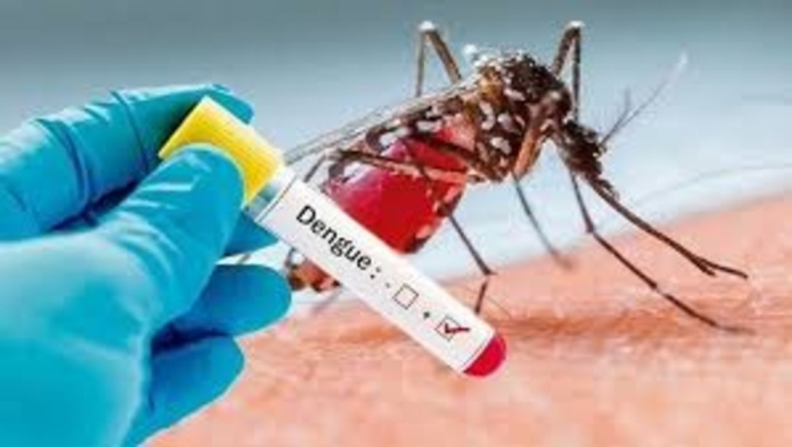 600 dengue cases reported in a day; 1 more die