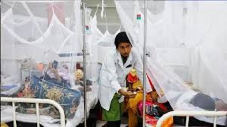 Dengue claims 9 more lives, 1,214 hospitalised in 24hrs